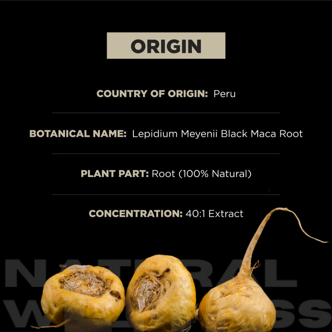 40,000mg 40x Strength Organic Black Maca Root with Ashwagandha