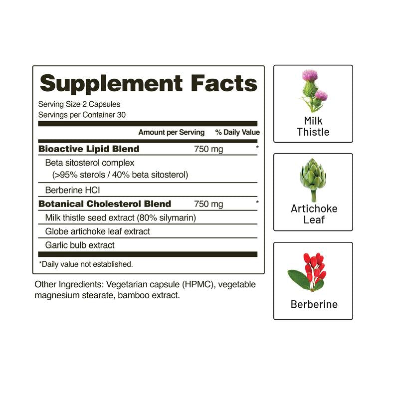 Cholesterol Health (Copy)